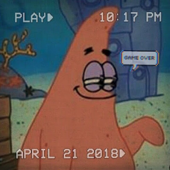 Meet your Posher, Shayaan - Picture 1 of 1